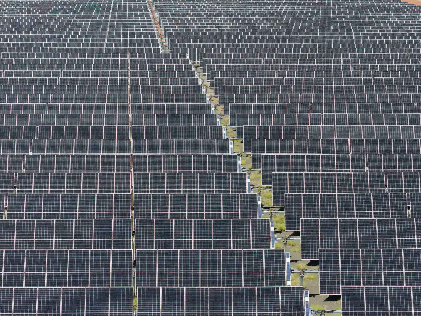 Parque solar Audi México_2.jpg